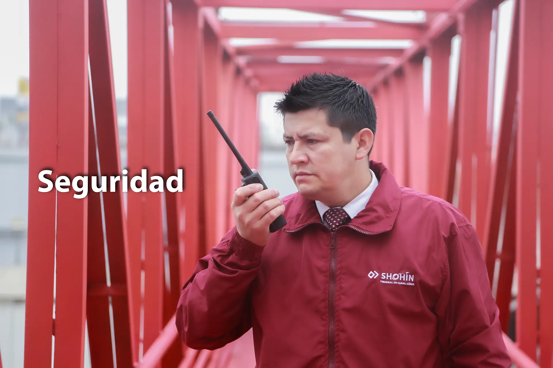 Imagen de galería 10