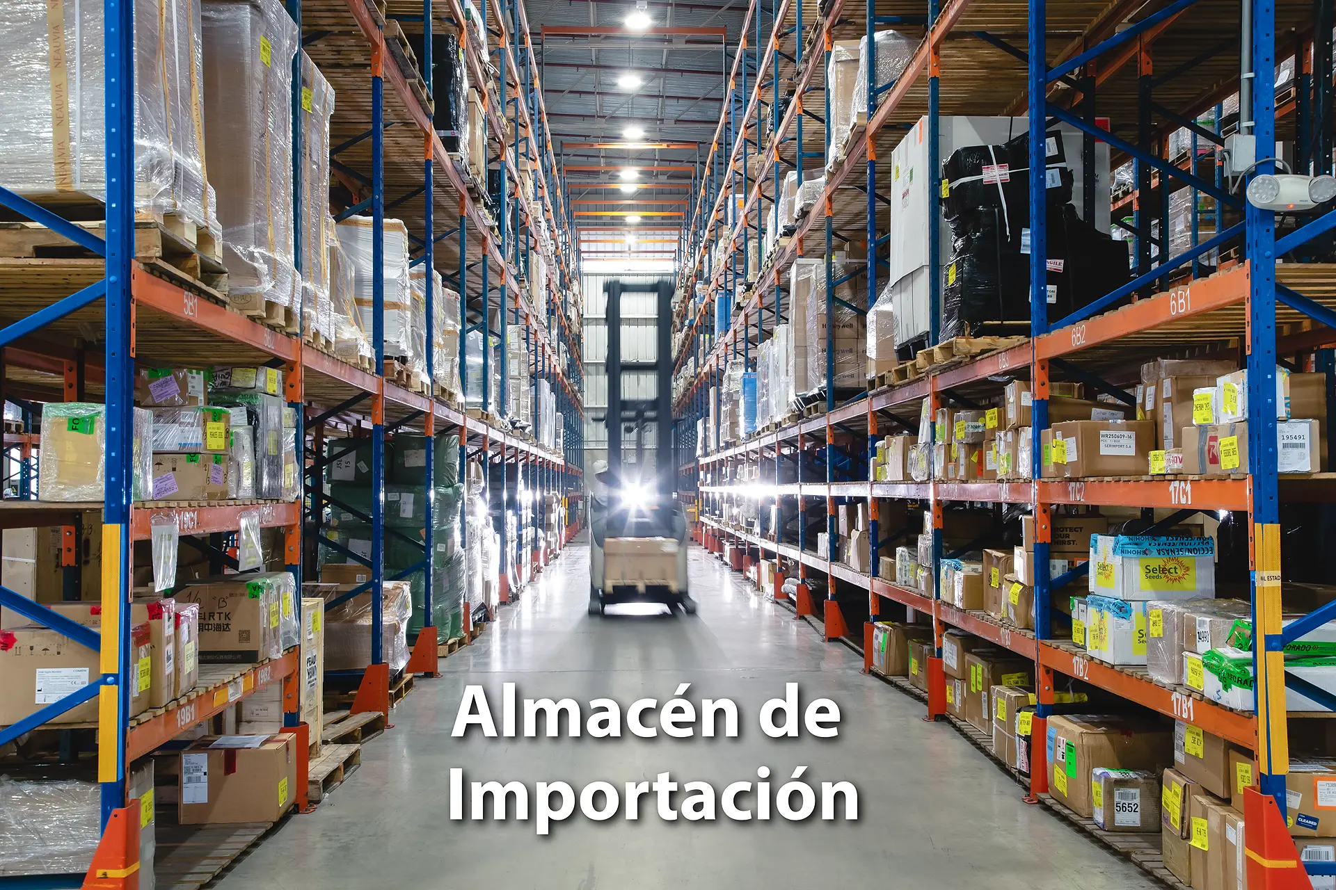 Imagen de galería 2