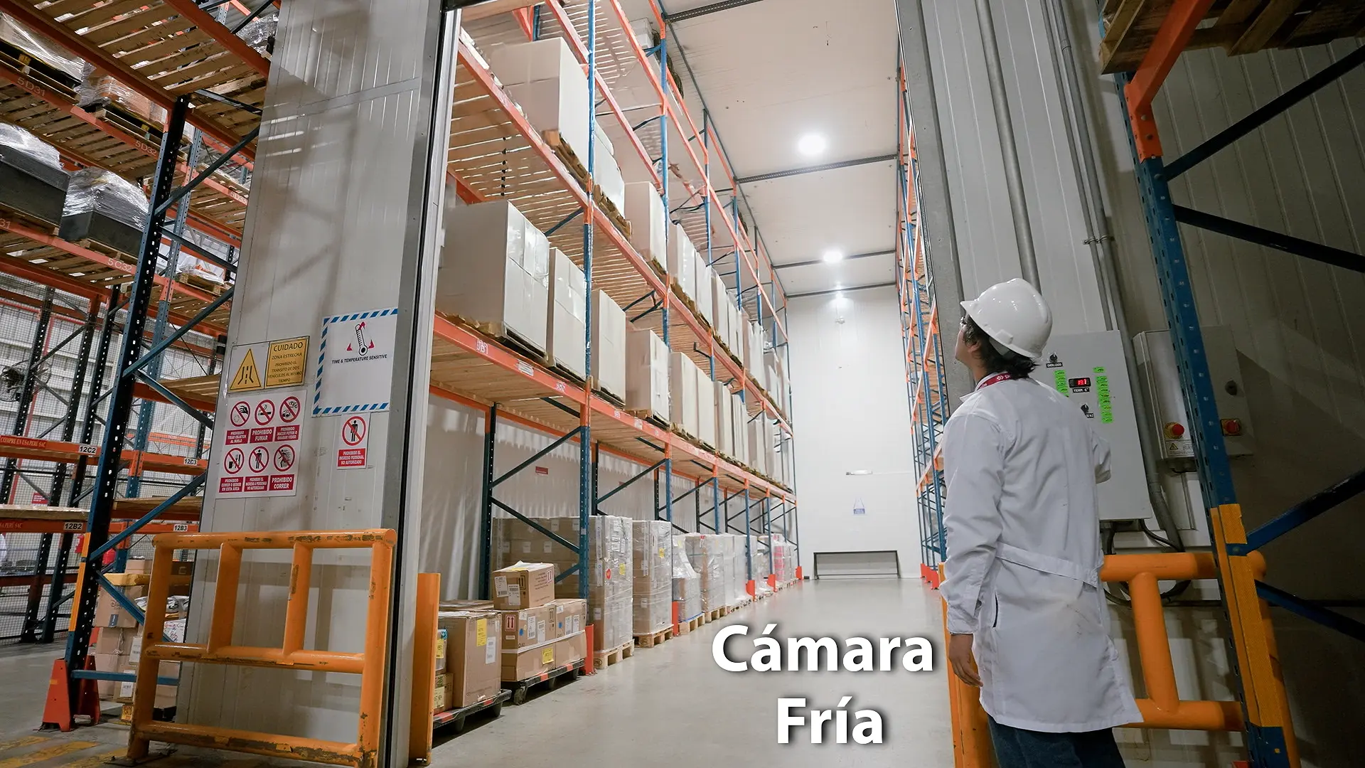 Imagen de galería 6