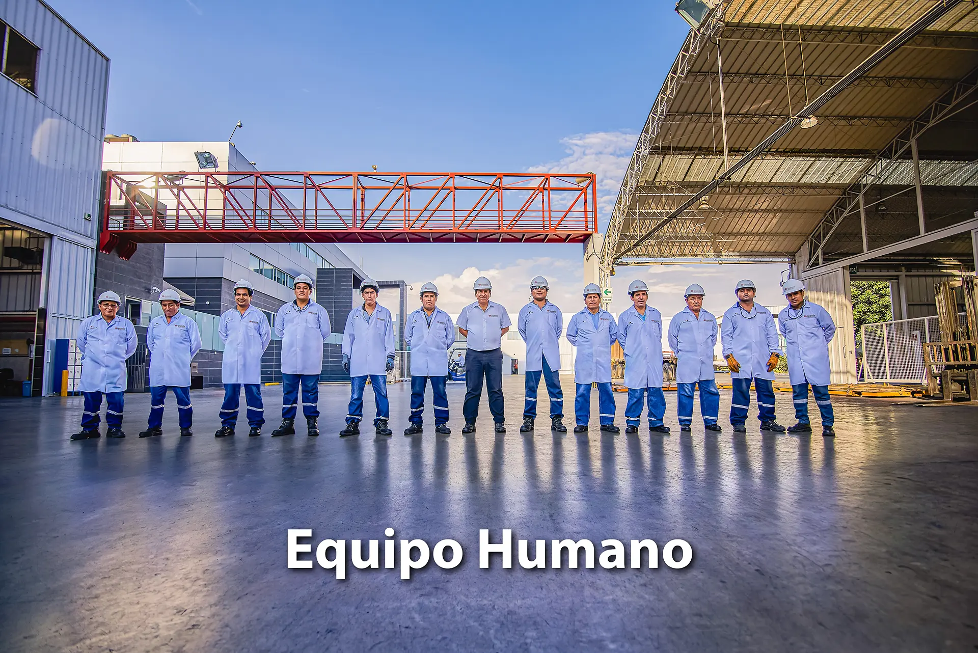 Imagen de galería 7